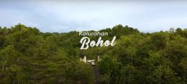 PEMANFAATAN TANAH KALURAHAN BOHOL